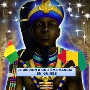 Meet your Posher, Biro